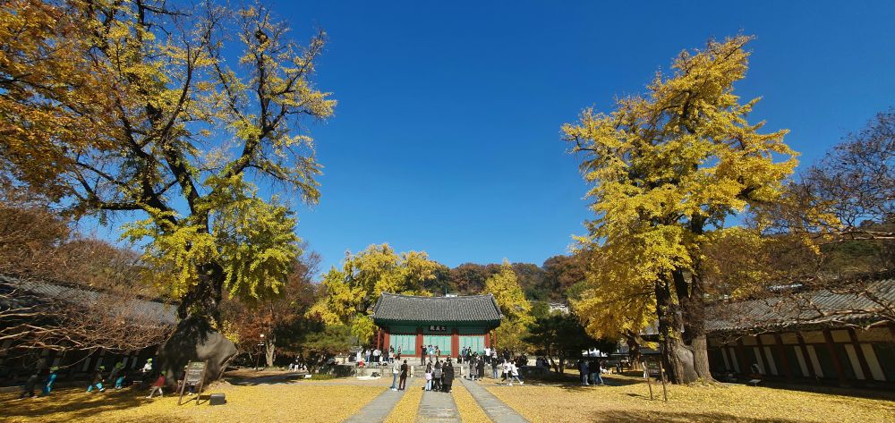 전주향교 11월 11일.jpg