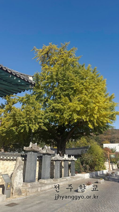 P20251111_143305542_C2505304-7FE7-4316-BAAE-B5077E324221 복사.jpg