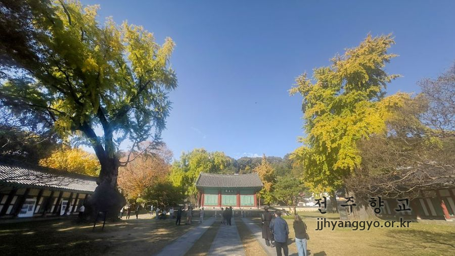 P20251111_142152475_3E0ECB95-09BC-46BE-B6BE-3448CF15AB35 복사.jpg