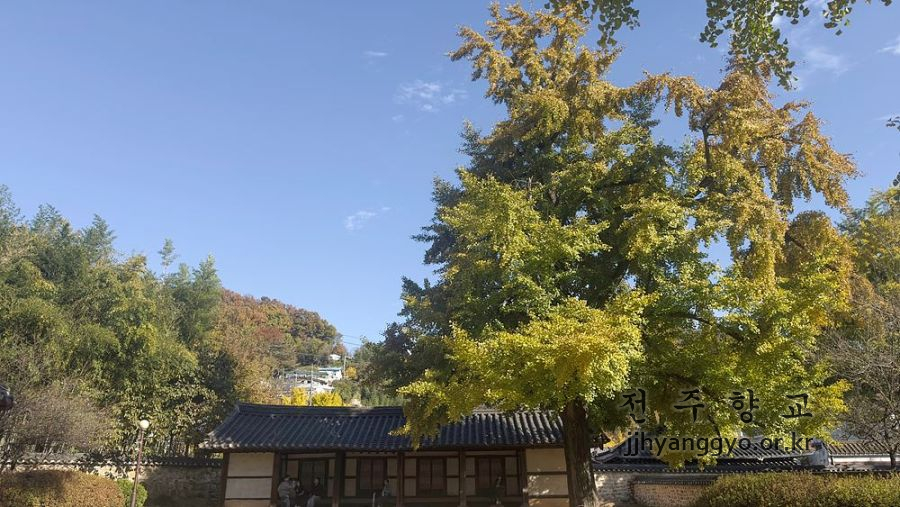 P20251111_142323411_D5112E1C-B954-4C0B-B178-67DED40CD96C 복사.jpg