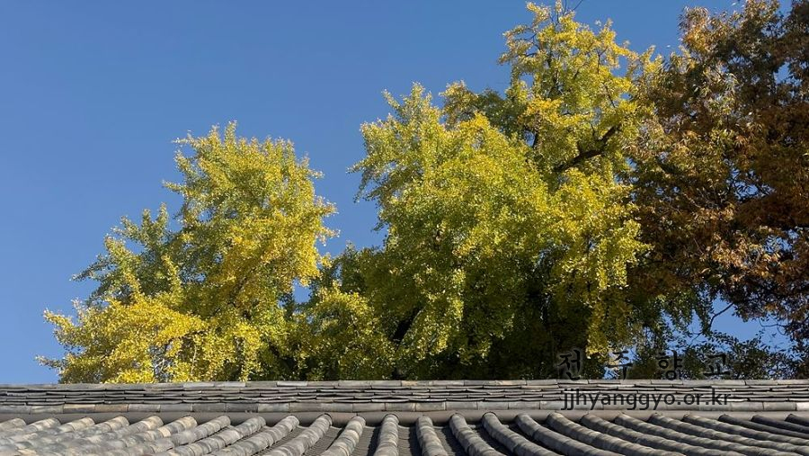 P20251111_143147854_824BFBFD-9DB9-4BEF-B35C-8C5197C13394 복사.jpg