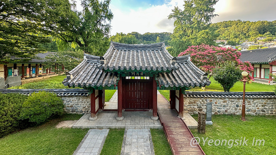 전주향교_백일홍_1_1.jpg