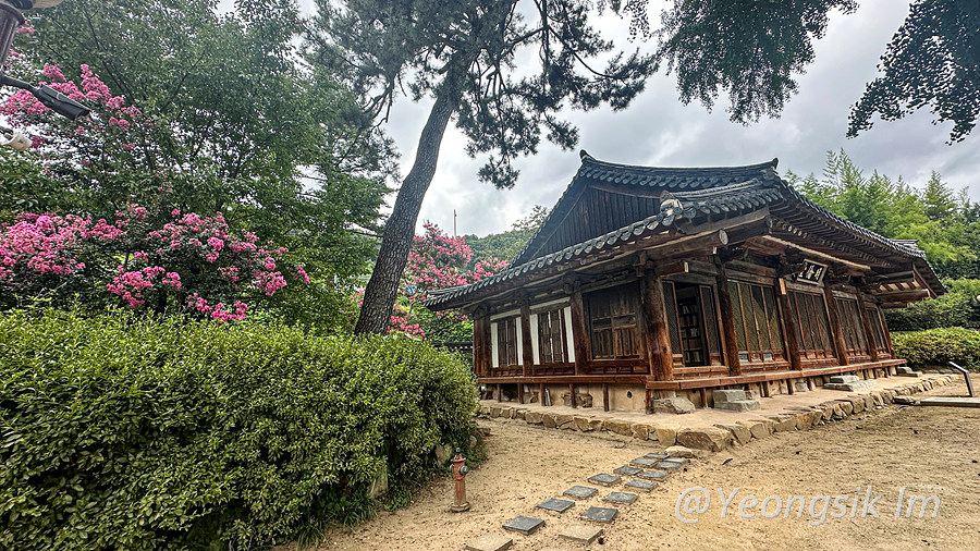 전주향교_백일홍_16.jpg